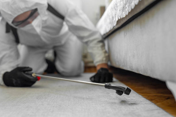 Professional Pest Control technician working in Baldwin, MI