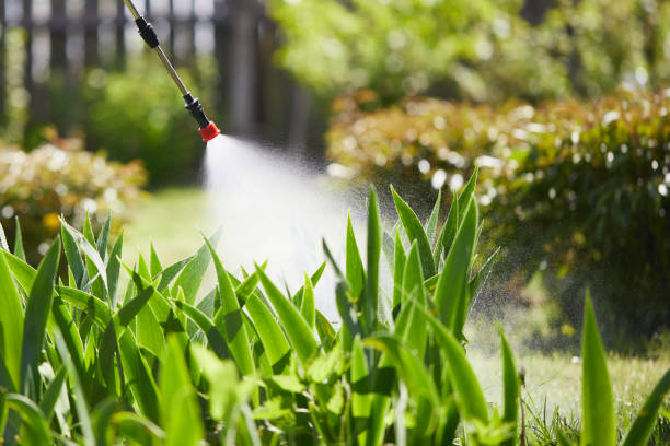 24/7 Emergency Pest Control experts in Baldwin, MI