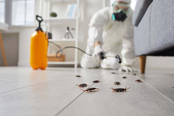Affordable Pest Control solutions in Baldwin, MI