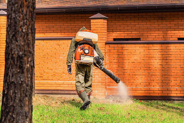 Top rated local Pest Control specialists in Baldwin, MI